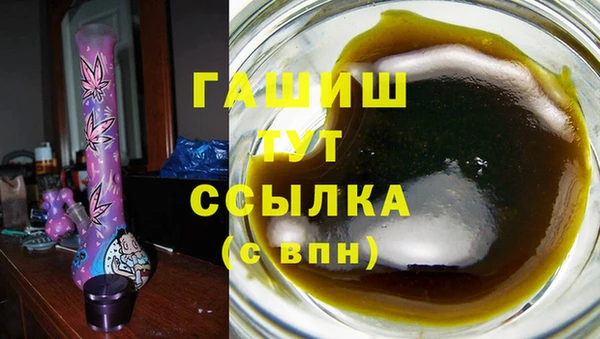 амф Горняк