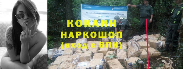 Альфа ПВП Горно-Алтайск