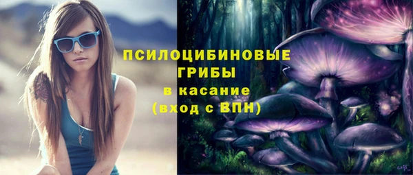 ECSTASY Корсаков